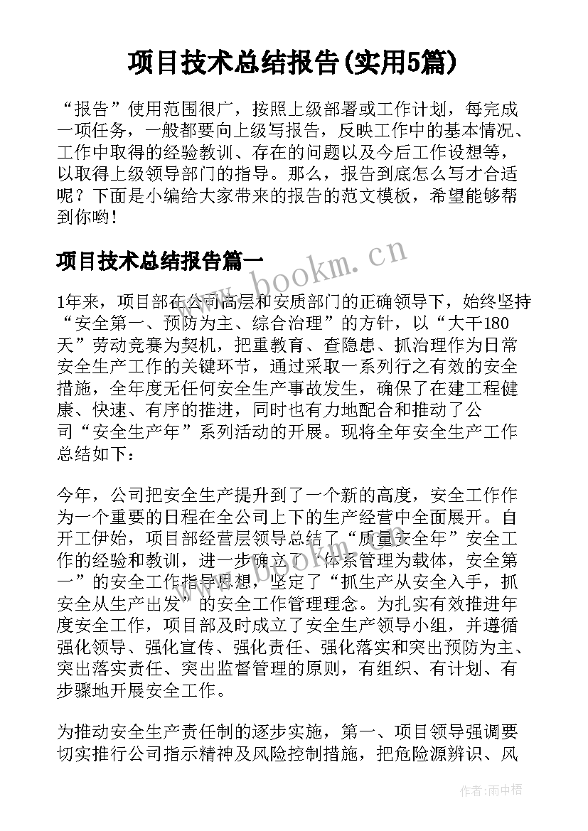 项目技术总结报告(实用5篇)