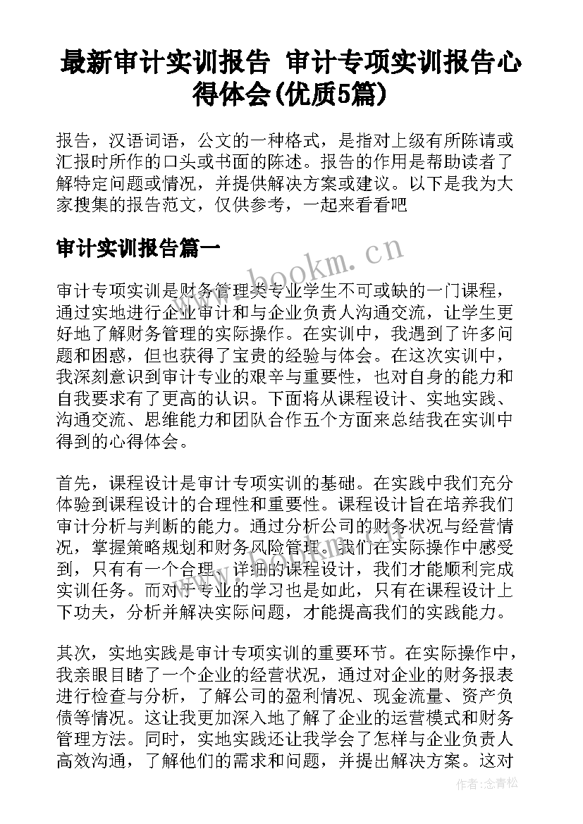 最新审计实训报告 审计专项实训报告心得体会(优质5篇)