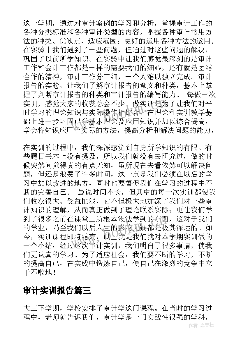 最新审计实训报告 审计专项实训报告心得体会(优质5篇)