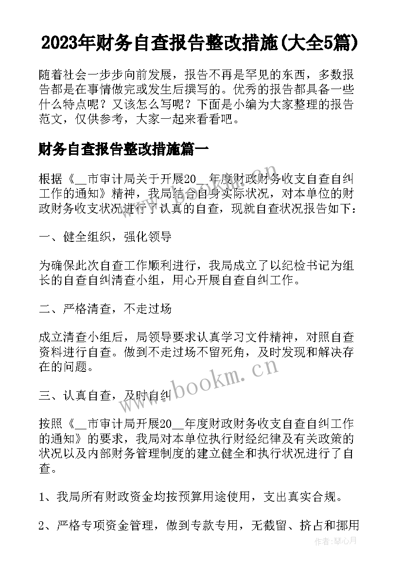 2023年财务自查报告整改措施(大全5篇)