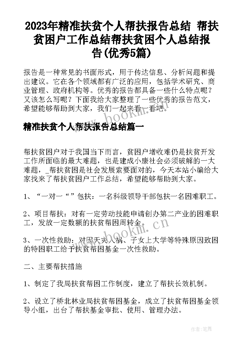 2023年精准扶贫个人帮扶报告总结 帮扶贫困户工作总结帮扶贫困个人总结报告(优秀5篇)