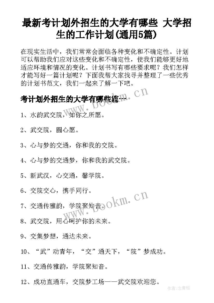 最新考计划外招生的大学有哪些 大学招生的工作计划(通用5篇)