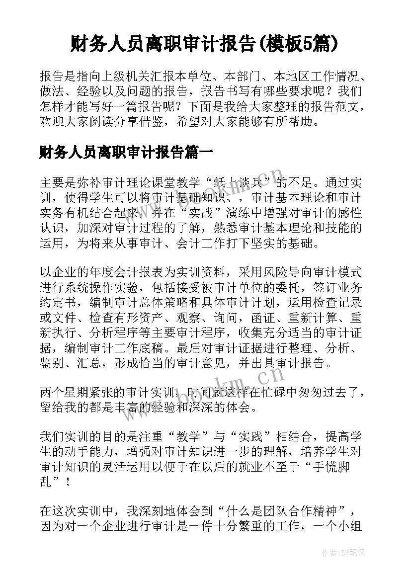 财务人员离职审计报告(模板5篇)