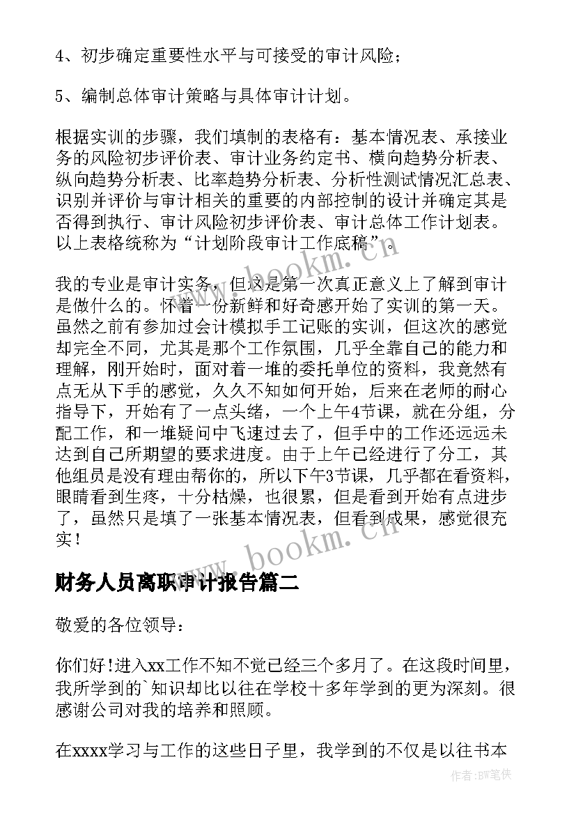 财务人员离职审计报告(模板5篇)