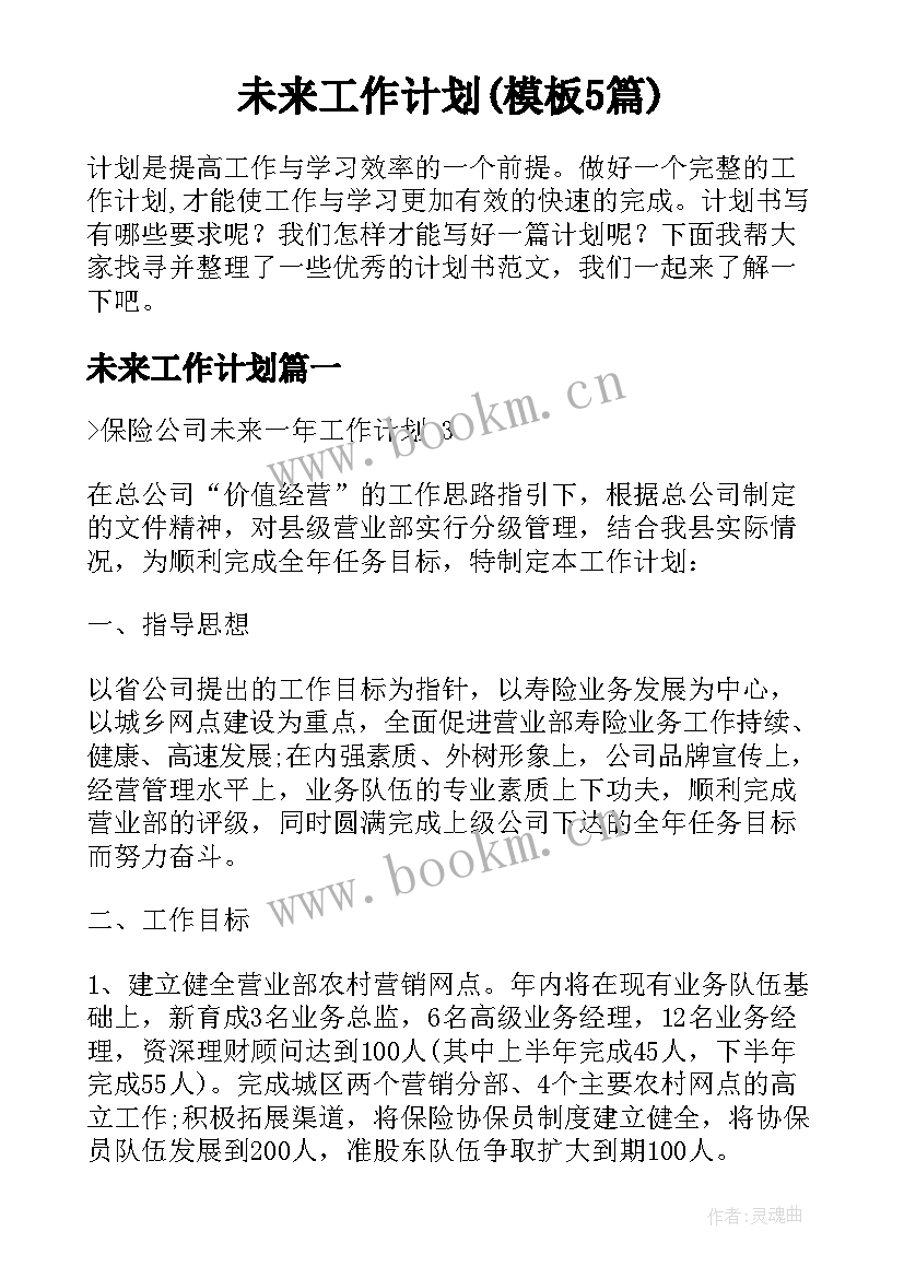 未来工作计划(模板5篇)