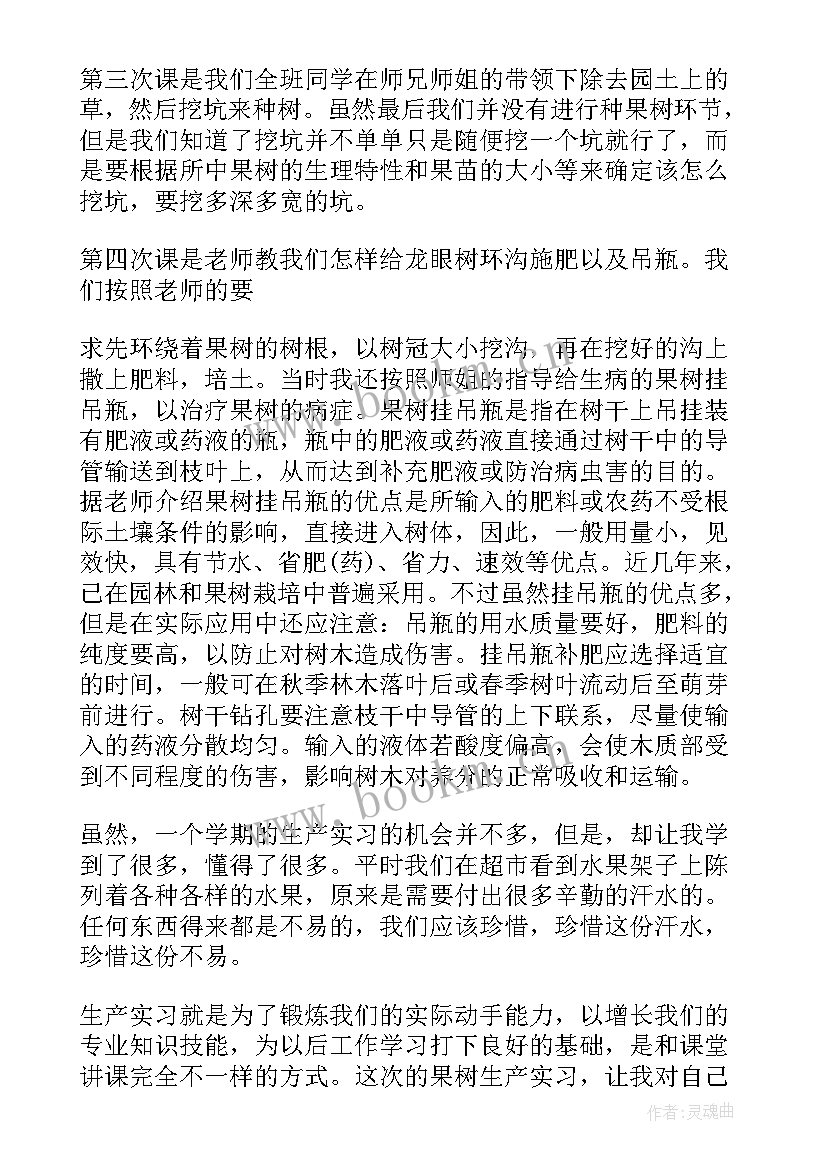 2023年栽培学实践报告 果树栽培学实习报告(汇总5篇)