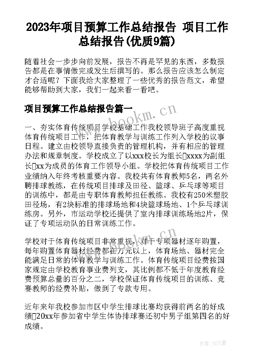 2023年项目预算工作总结报告 项目工作总结报告(优质9篇)