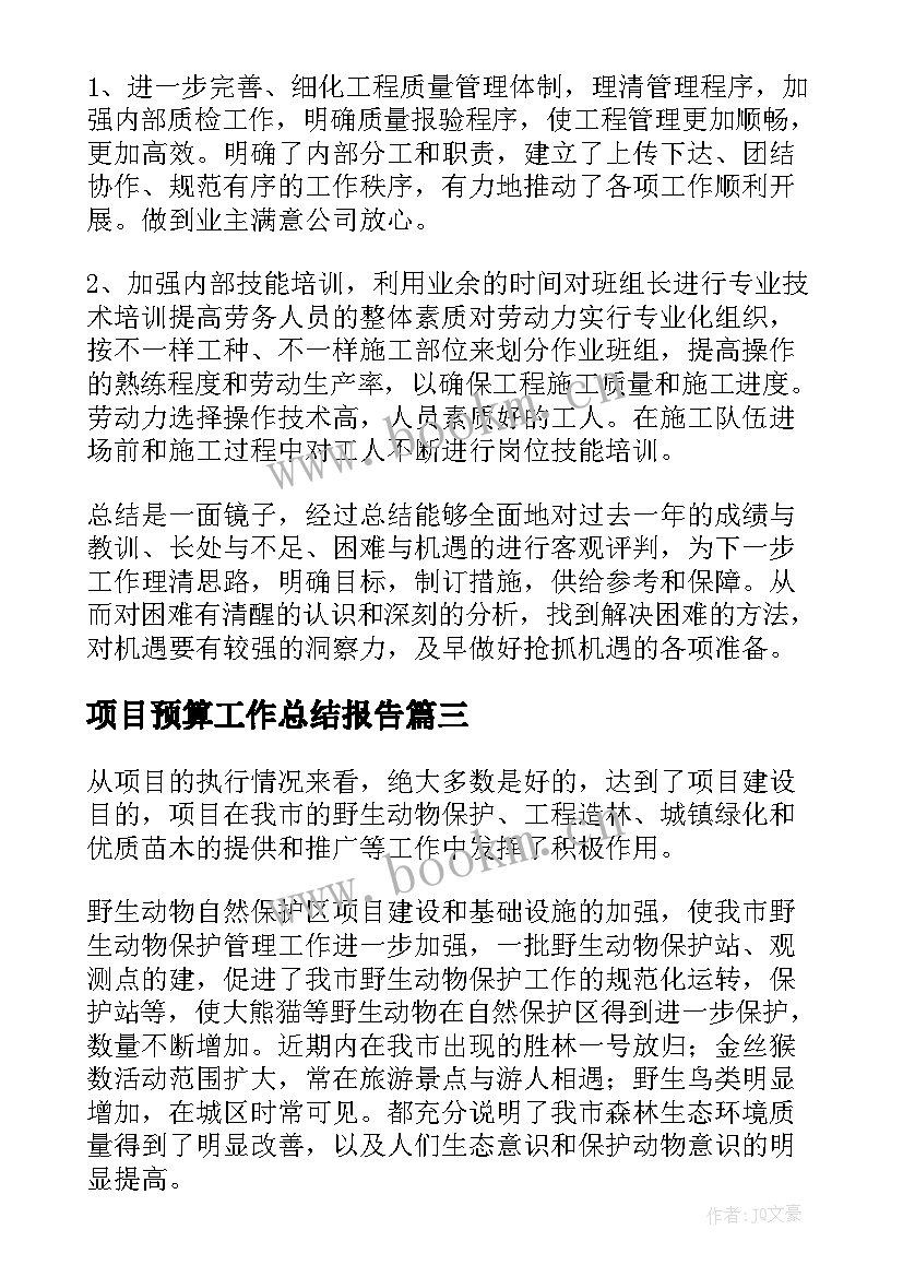 2023年项目预算工作总结报告 项目工作总结报告(优质9篇)