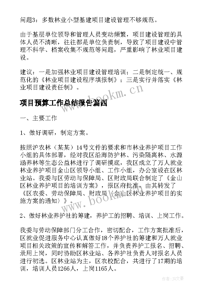 2023年项目预算工作总结报告 项目工作总结报告(优质9篇)