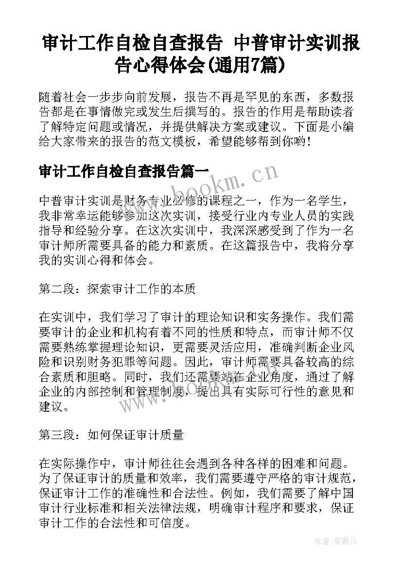 审计工作自检自查报告 中普审计实训报告心得体会(通用7篇)