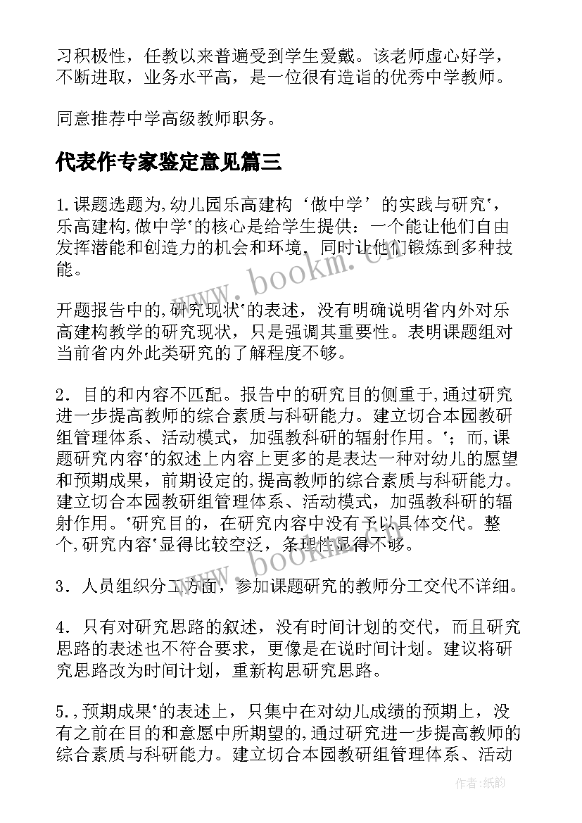 2023年代表作专家鉴定意见(模板5篇)