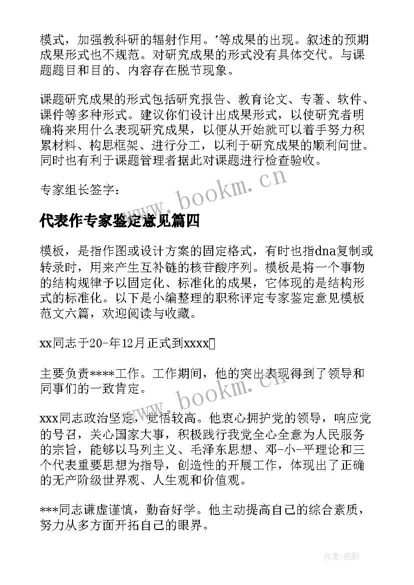 2023年代表作专家鉴定意见(模板5篇)