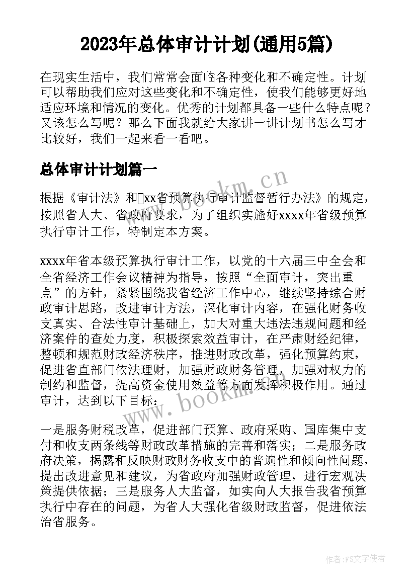 2023年总体审计计划(通用5篇)