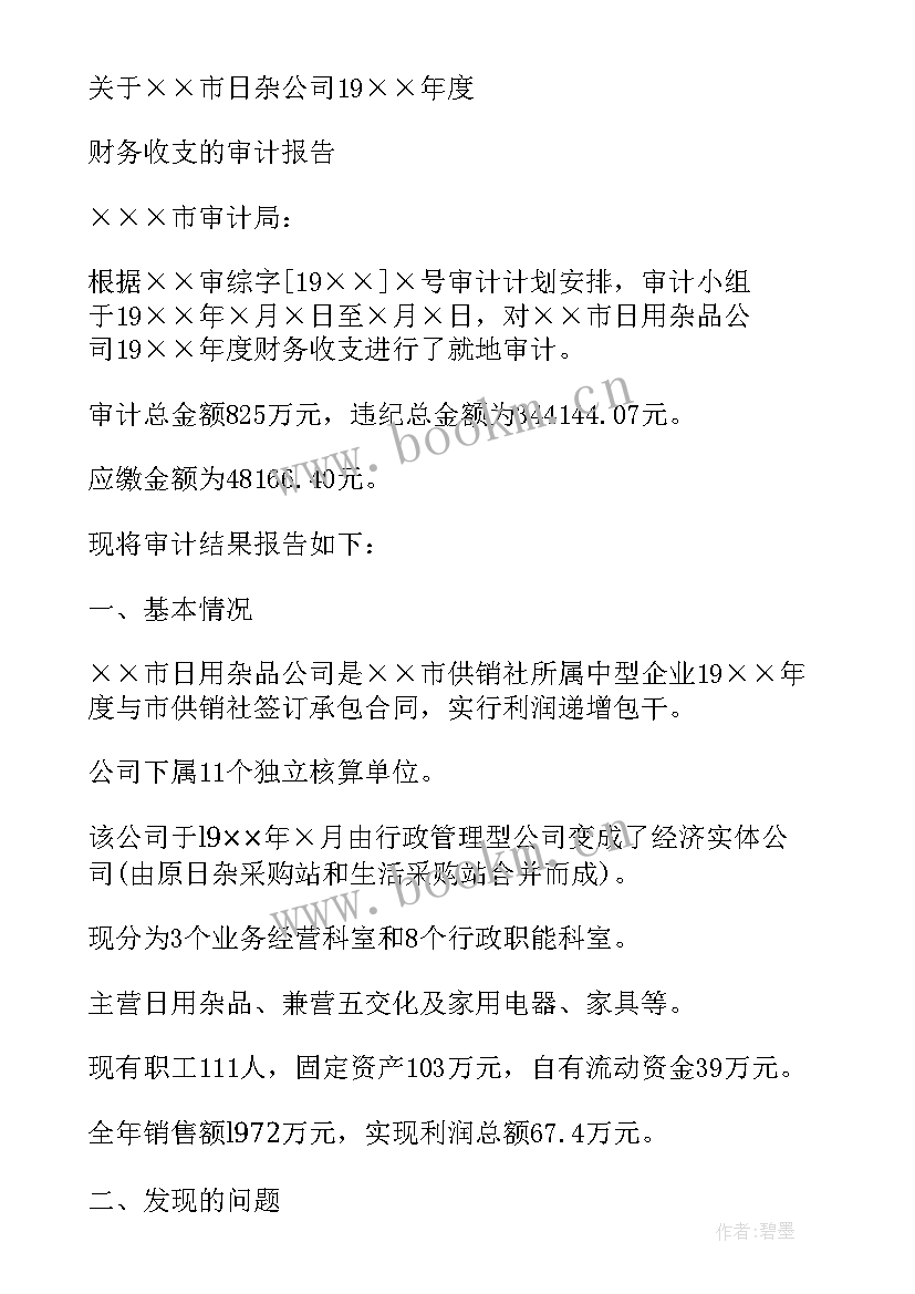 2023年财务审计报告(精选7篇)