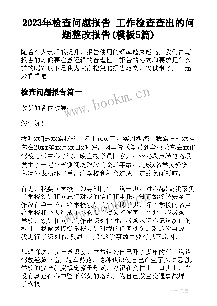 2023年检查问题报告 工作检查查出的问题整改报告(模板5篇)