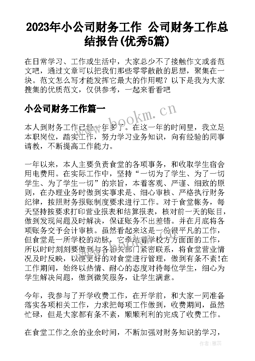 2023年小公司财务工作 公司财务工作总结报告(优秀5篇)