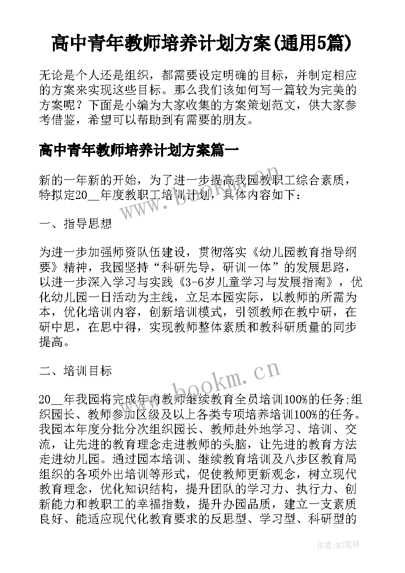 高中青年教师培养计划方案(通用5篇)