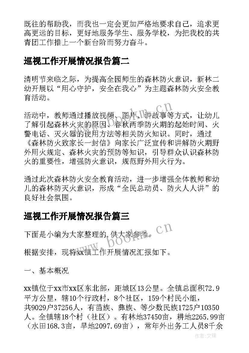 最新巡视工作开展情况报告 工作开展情况述职报告(精选7篇)