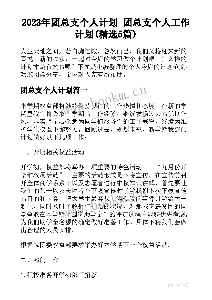 2023年团总支个人计划 团总支个人工作计划(精选5篇)