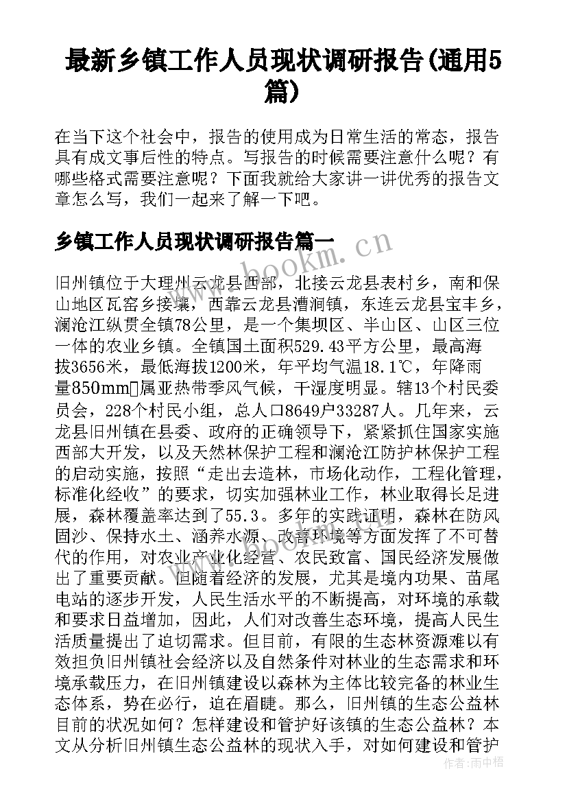 最新乡镇工作人员现状调研报告(通用5篇)