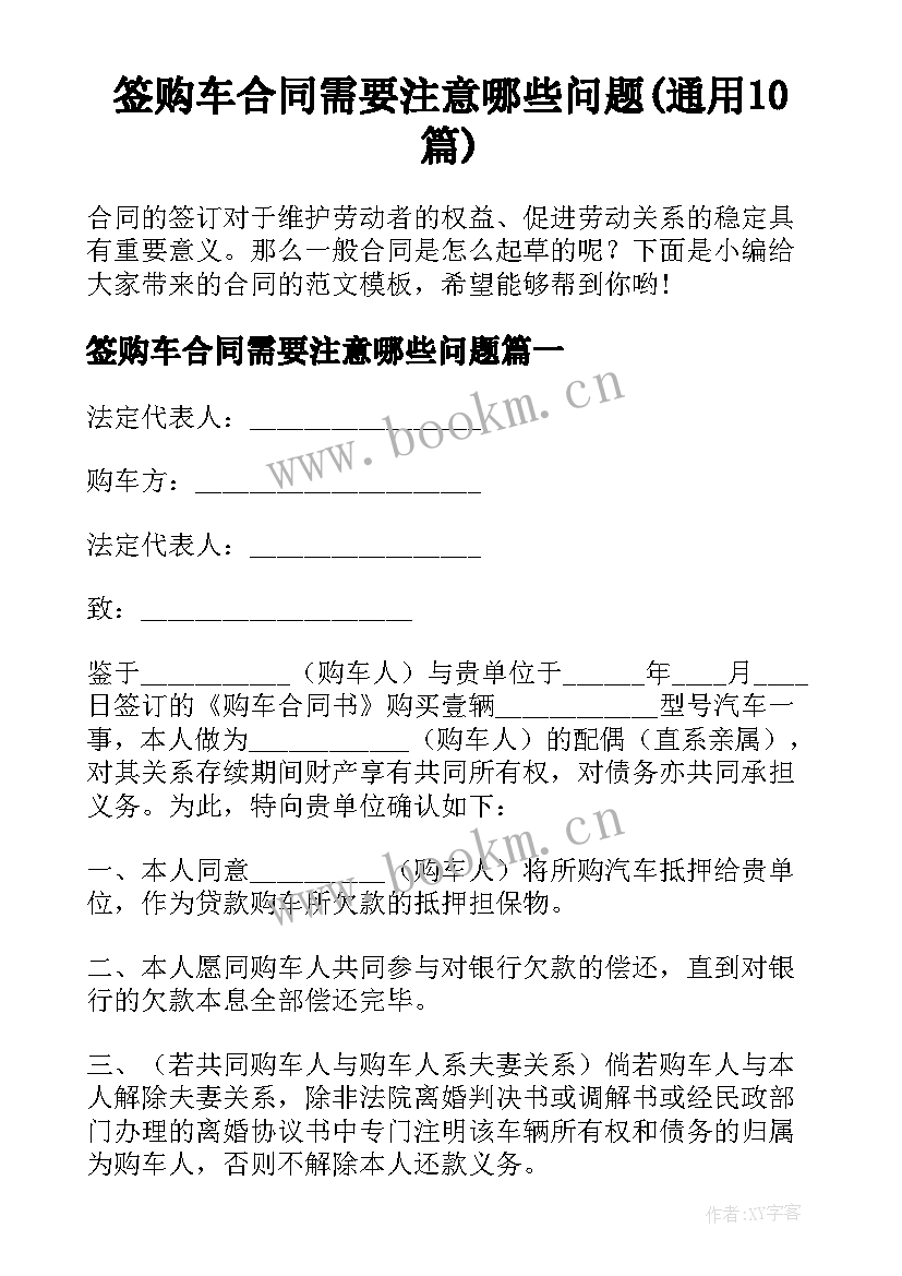 签购车合同需要注意哪些问题(通用10篇)