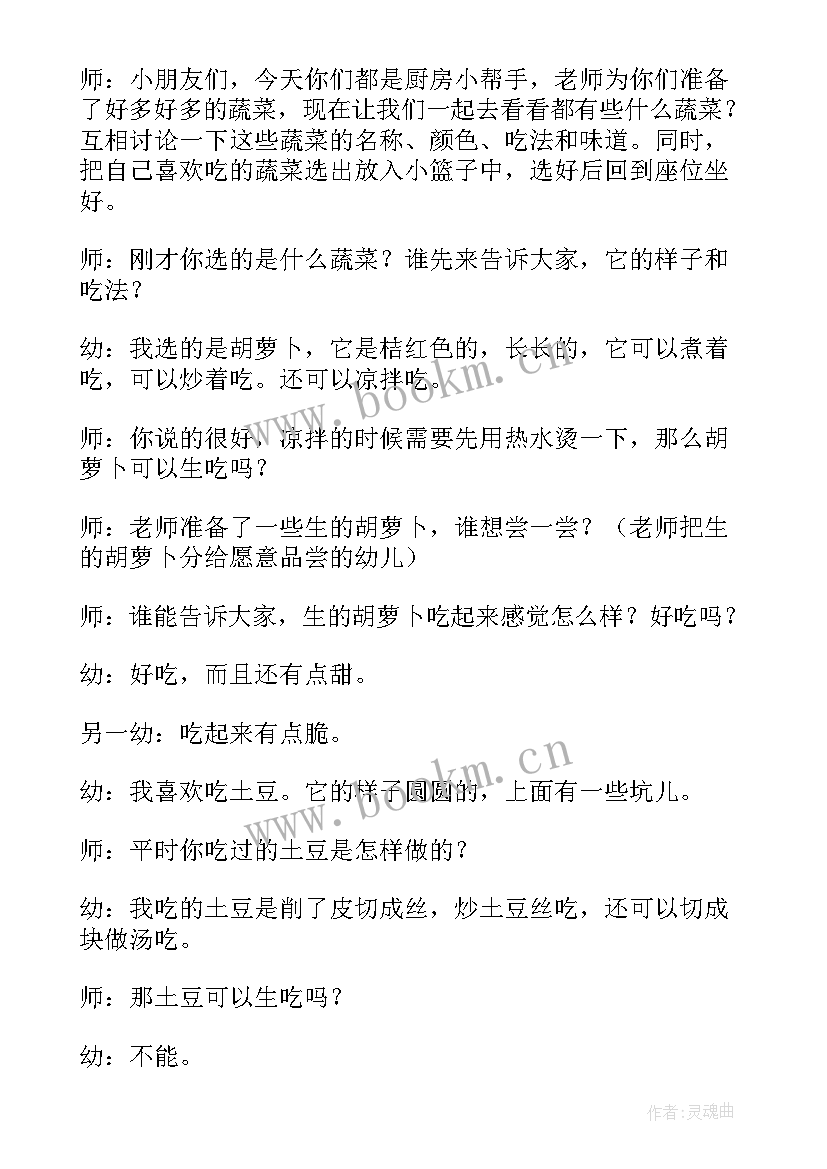 2023年大班蔬菜汤教案反思(模板5篇)