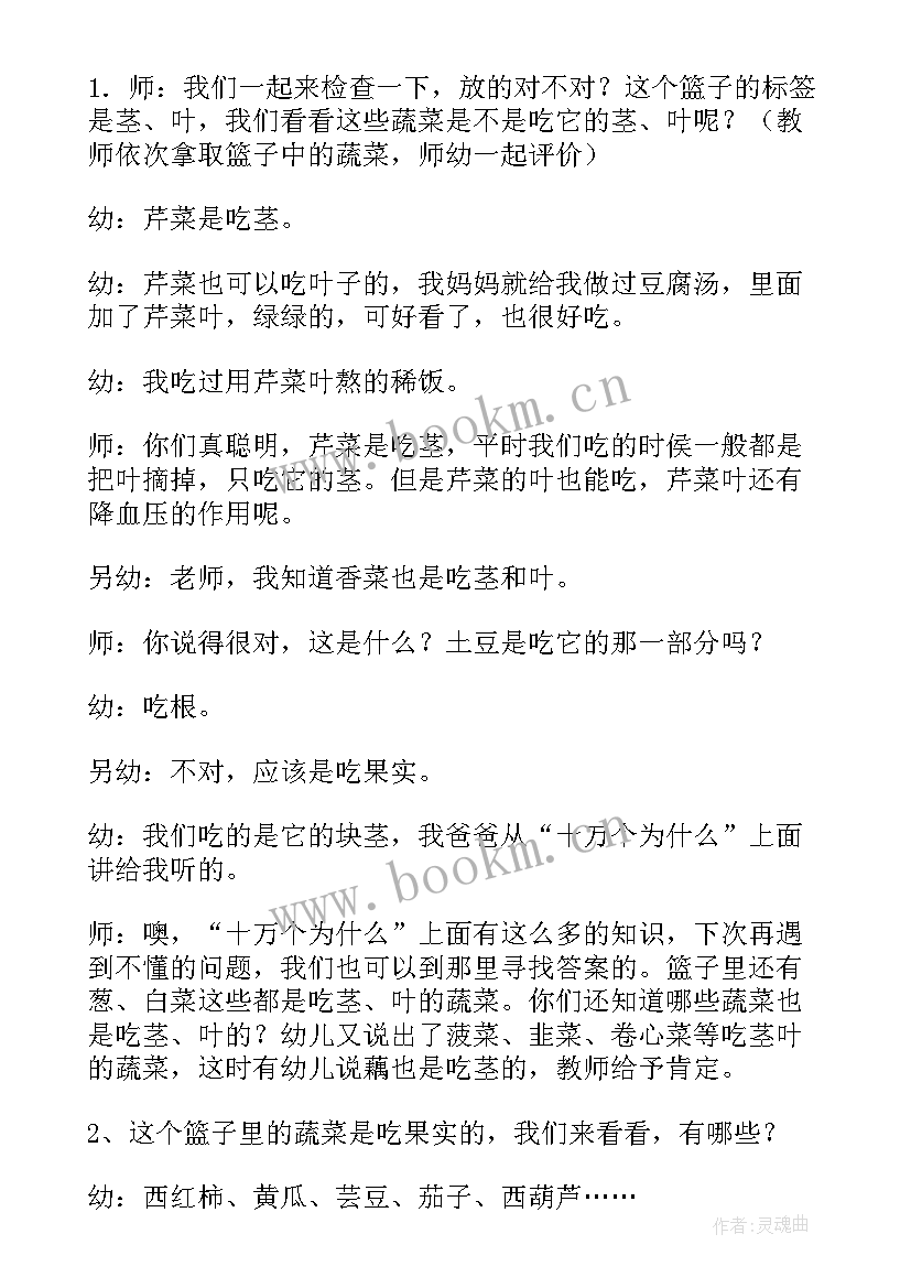 2023年大班蔬菜汤教案反思(模板5篇)