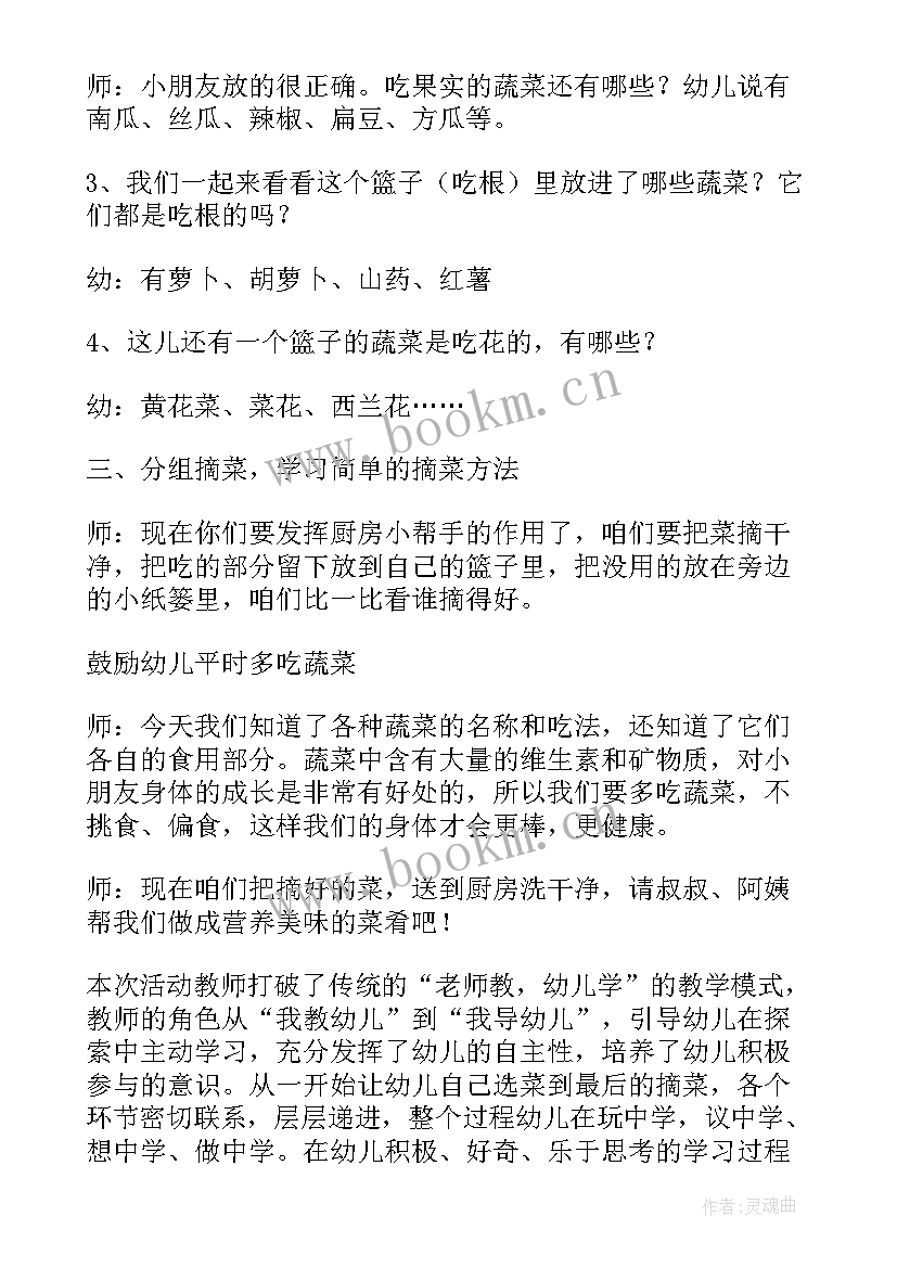 2023年大班蔬菜汤教案反思(模板5篇)