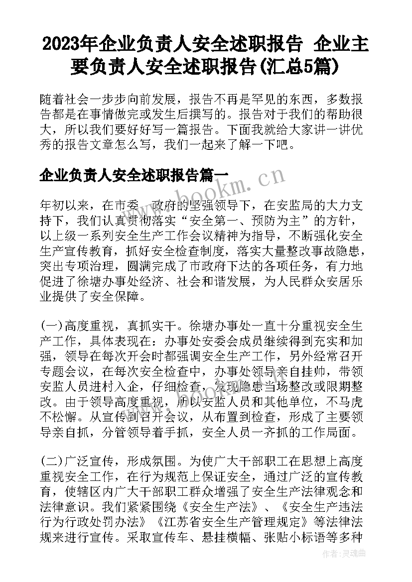 2023年企业负责人安全述职报告 企业主要负责人安全述职报告(汇总5篇)