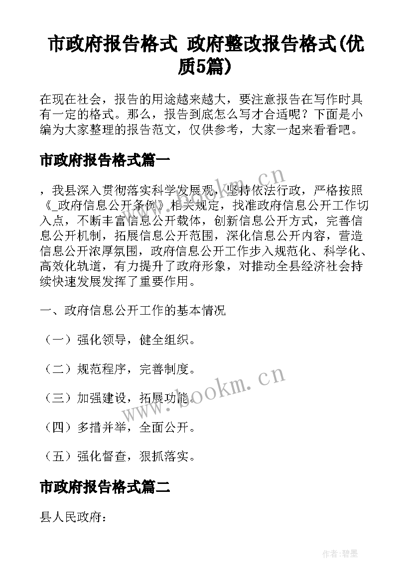 市政府报告格式 政府整改报告格式(优质5篇)