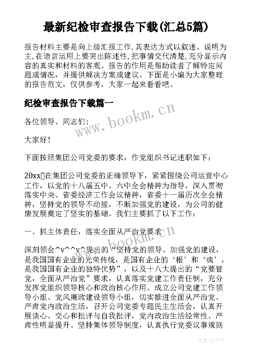 最新纪检审查报告下载(汇总5篇)