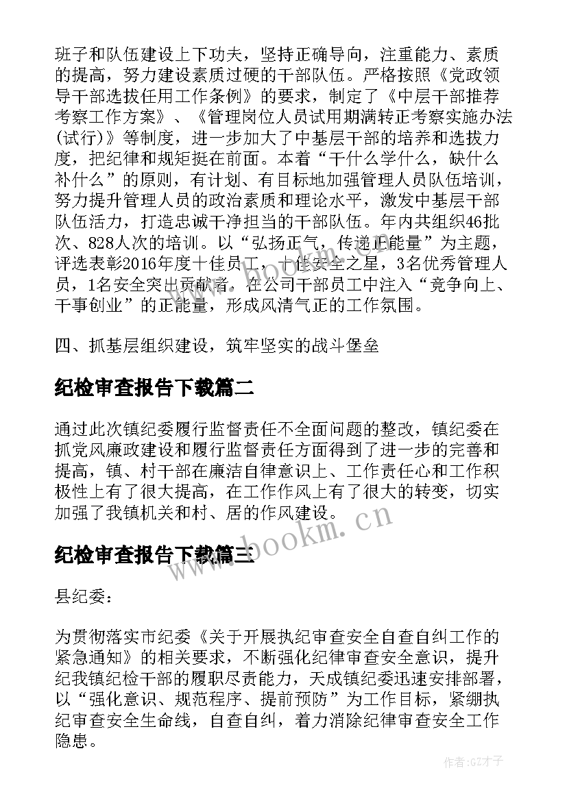 最新纪检审查报告下载(汇总5篇)