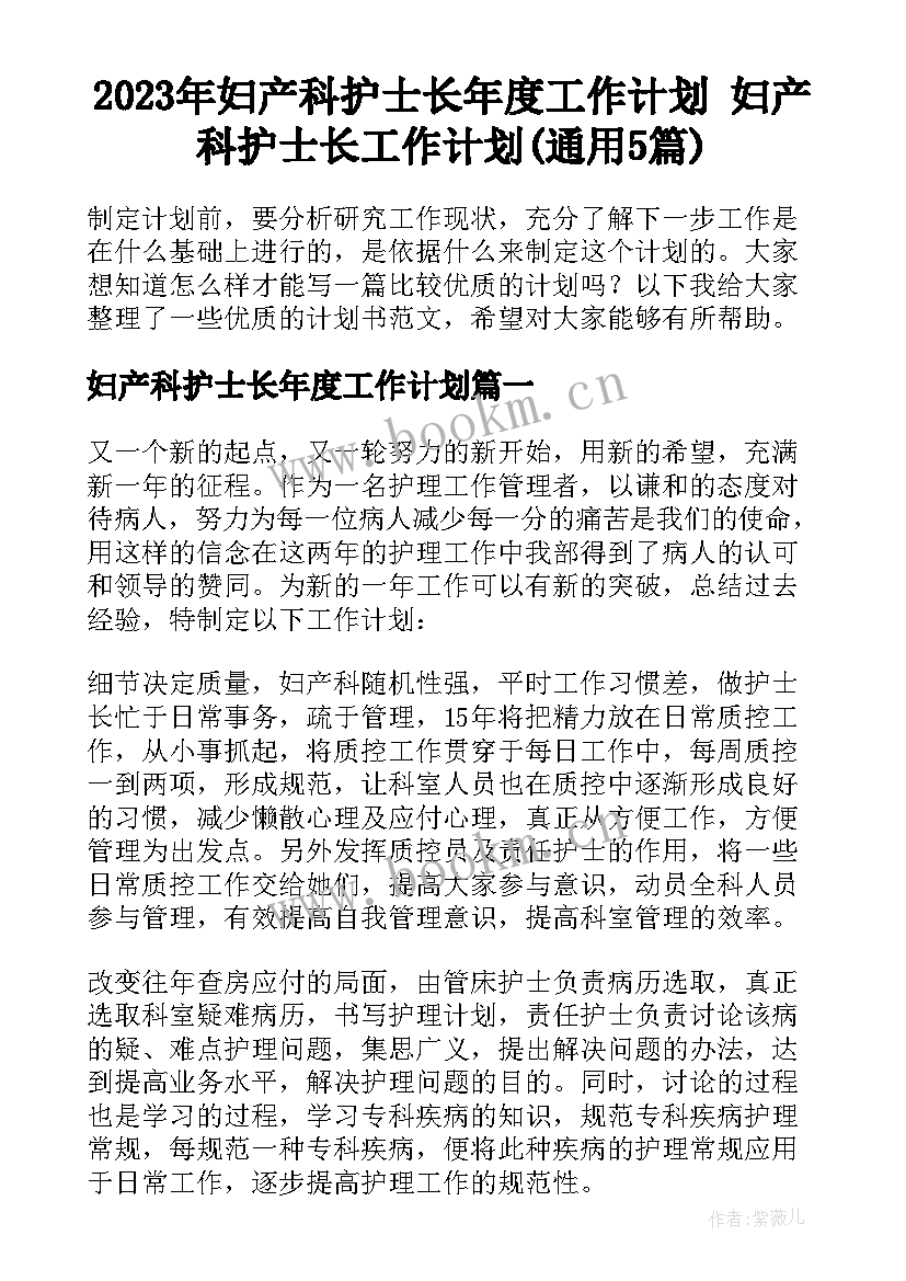 2023年妇产科护士长年度工作计划 妇产科护士长工作计划(通用5篇)