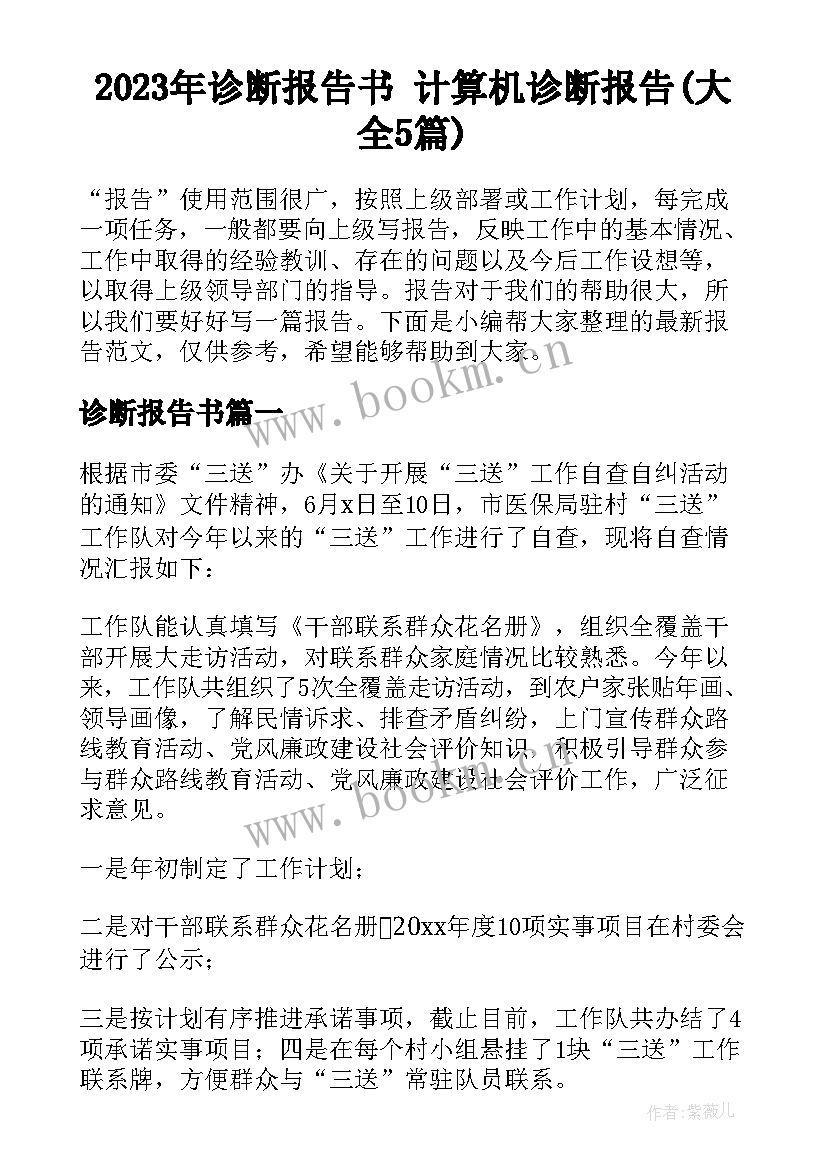 2023年诊断报告书 计算机诊断报告(大全5篇)