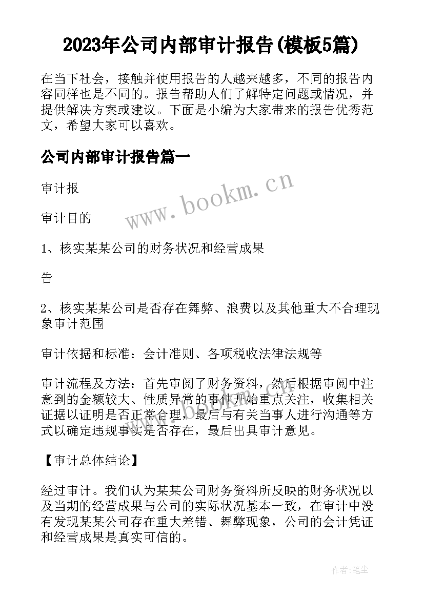 2023年公司内部审计报告(模板5篇)