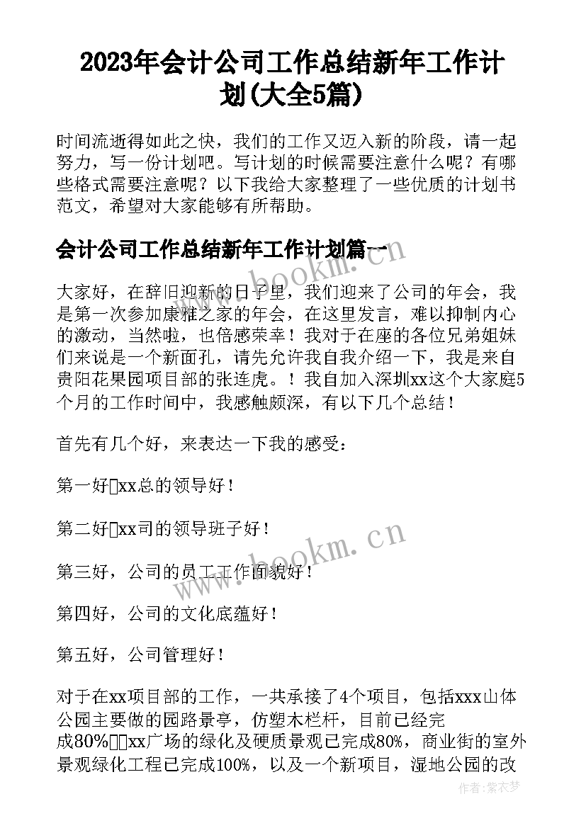 2023年会计公司工作总结新年工作计划(大全5篇)