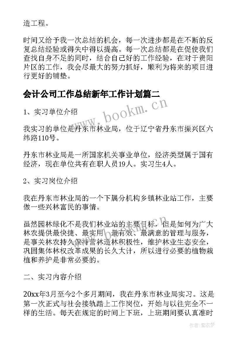 2023年会计公司工作总结新年工作计划(大全5篇)