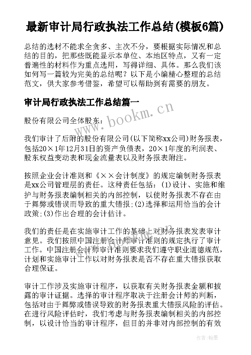 最新审计局行政执法工作总结(模板6篇)