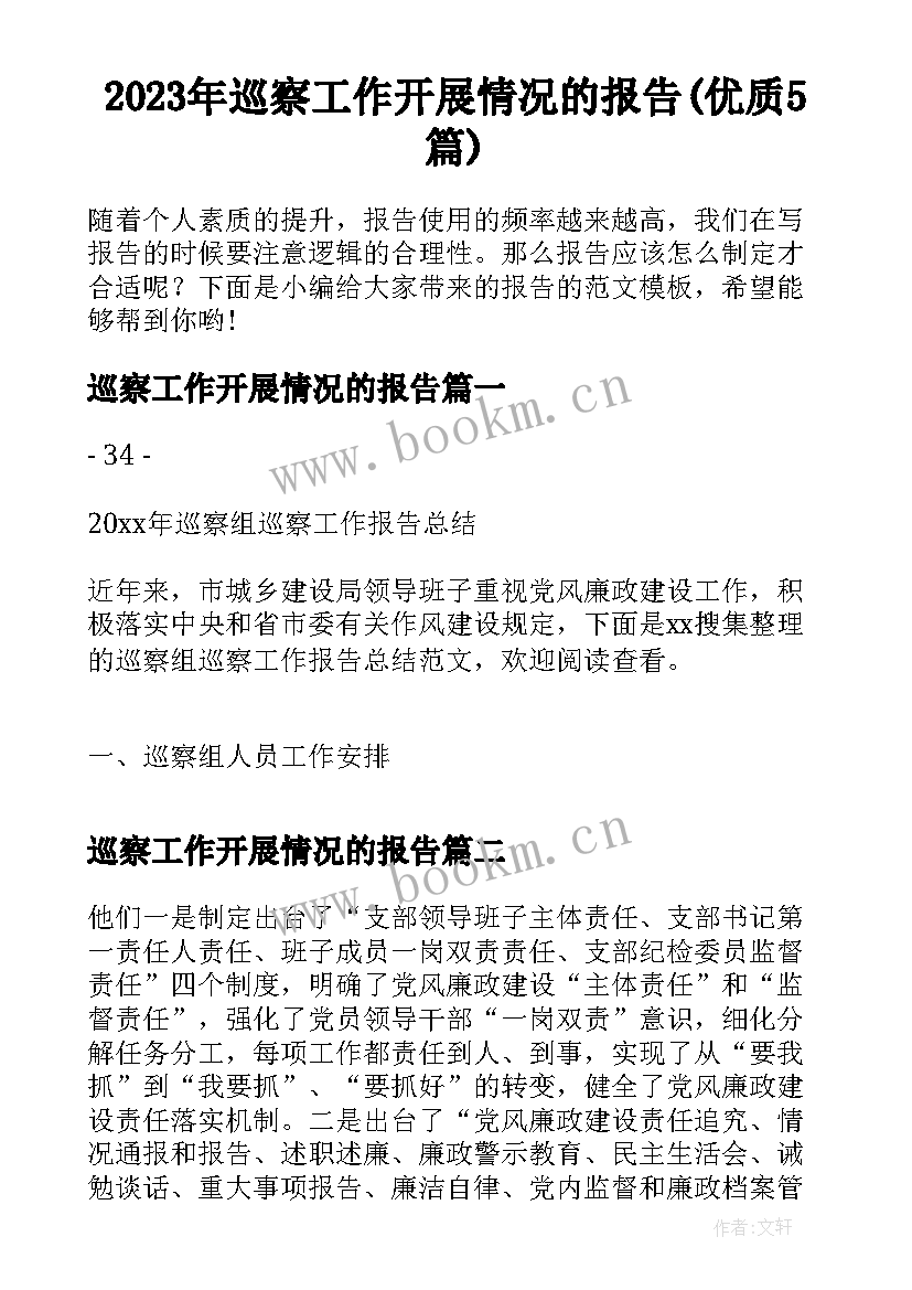 2023年巡察工作开展情况的报告(优质5篇)