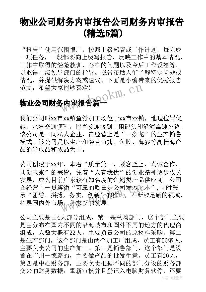 物业公司财务内审报告 公司财务内审报告(精选5篇)