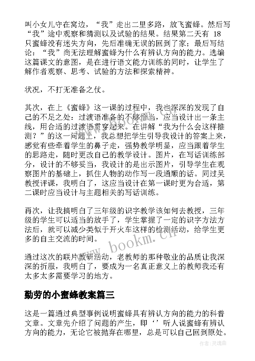 勤劳的小蜜蜂教案 蜜蜂教学反思(优秀10篇)