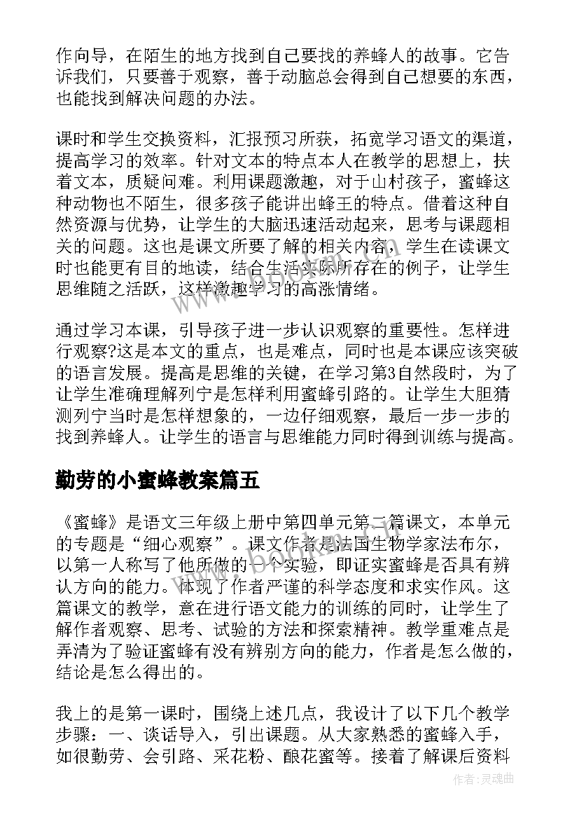 勤劳的小蜜蜂教案 蜜蜂教学反思(优秀10篇)