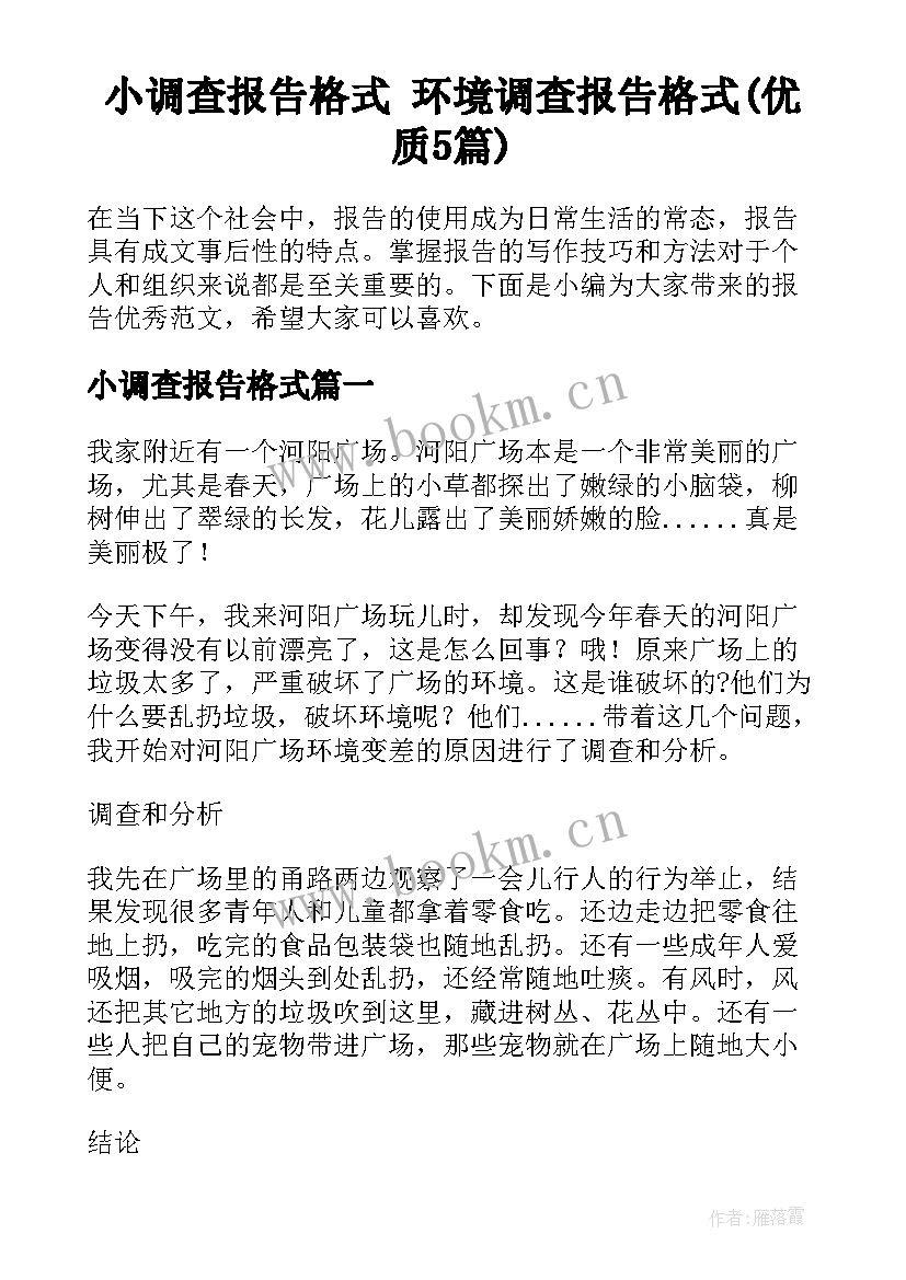 小调查报告格式 环境调查报告格式(优质5篇)