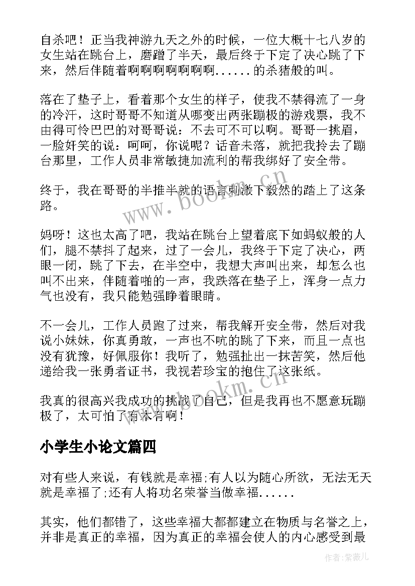 2023年小学生小论文(精选5篇)