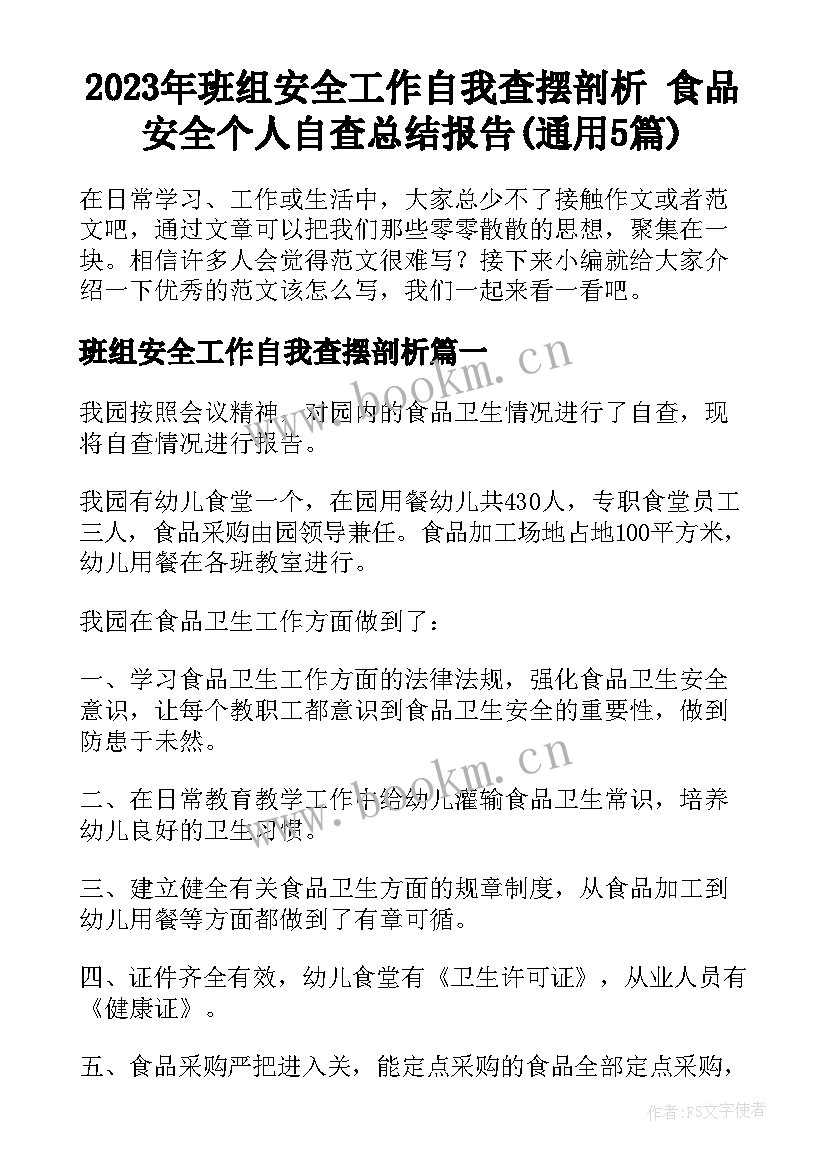 2023年班组安全工作自我查摆剖析 食品安全个人自查总结报告(通用5篇)