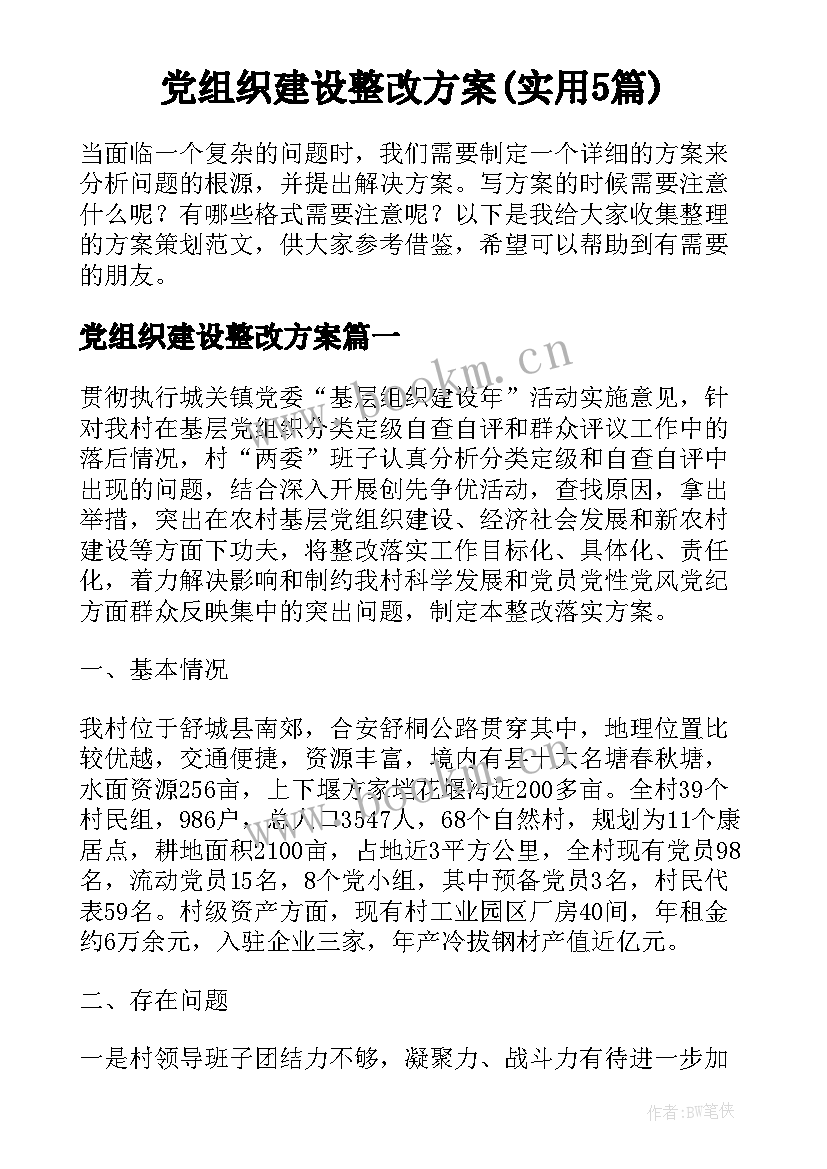 党组织建设整改方案(实用5篇)