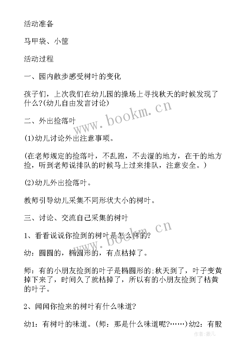 社会实践中班教案(实用5篇)