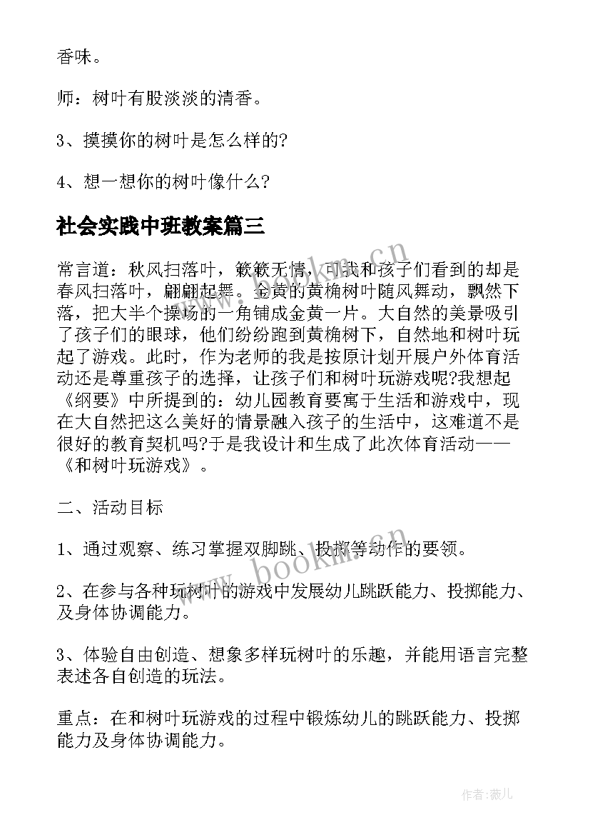 社会实践中班教案(实用5篇)