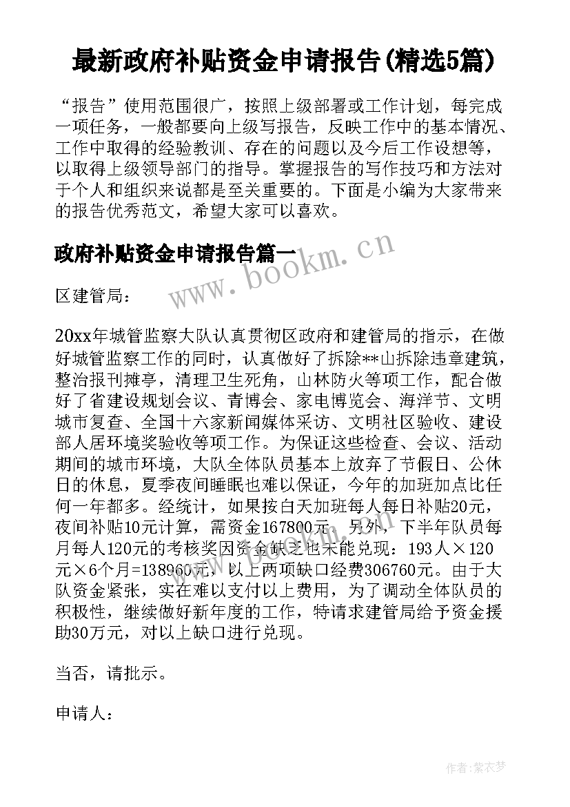 最新政府补贴资金申请报告(精选5篇)