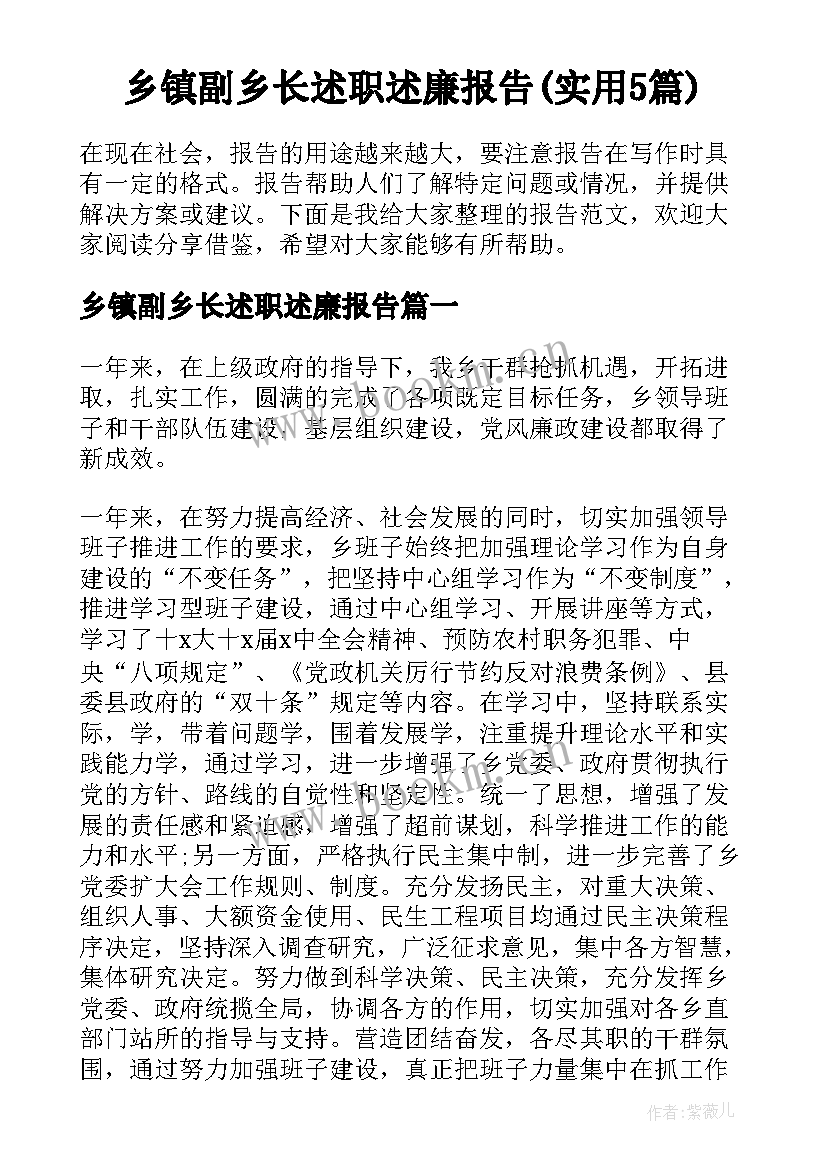 乡镇副乡长述职述廉报告(实用5篇)